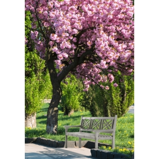 Drevená záhradná lavička, sivá, 150 cm, FABLA obr-3