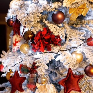 Vianočný stromček, zasnežený, 245 cm, MARAVEL TYP 3 obr-2