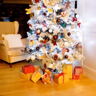 Vianočný stromček, zasnežený, 245 cm, MARAVEL TYP 3 obr-3