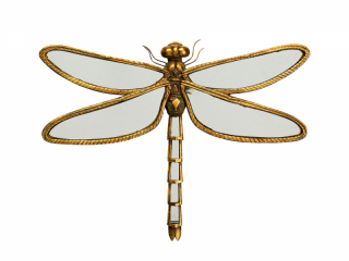 Dragonfly zrkadlo zlaté 45CM