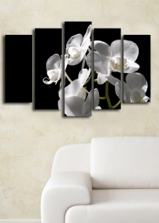 mania-asr-237hrz3247_3