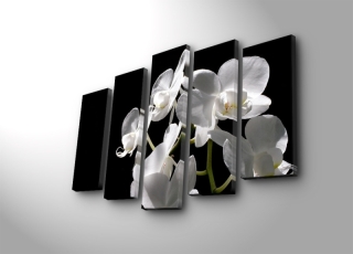 mania-asr-237hrz3247_4