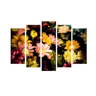 mania-asr-237hrz3256_2