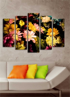 mania-asr-237hrz3256_3