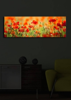 ASIR Obraz na plátne VLČIE MAKY s LED podsvietením 30 cm