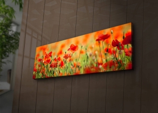 mania-asr-239shn1213_4