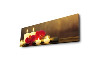 mania-asr-239shn3208_2