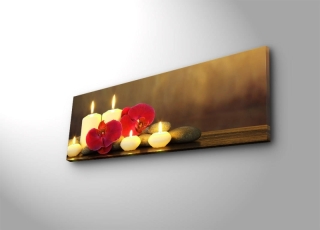 mania-asr-239shn3208_5