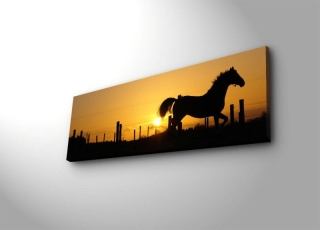 mania-asr-239shn3253_2