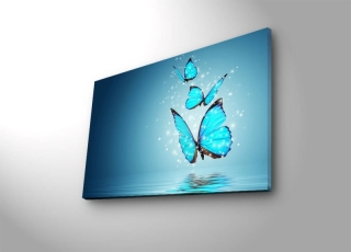 mania-asr-239shn3291_2