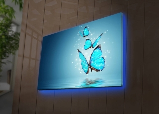 mania-asr-239shn3291_4