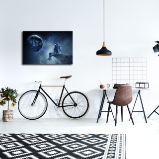 mania-asr-239shn4308_3