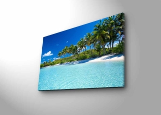 mania-asr-239shn4476_2