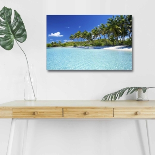 mania-asr-239shn4476_3