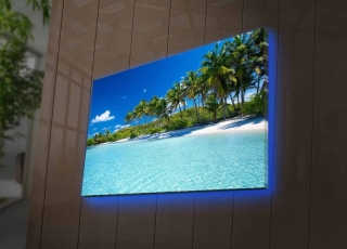 mania-asr-239shn4476_4