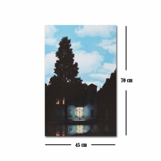 mania-asr-249cvt1487_4