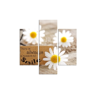 mania-asr-251tre1959_2