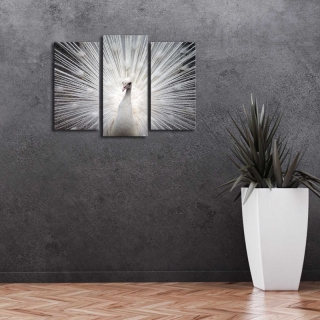 ASIR Obraz na plátne PÁV s LED podsvietením 66 cm obr-4