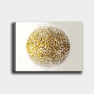 mania-asr-441hpe2697_2