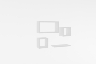 mania-asr-495sse1103_2