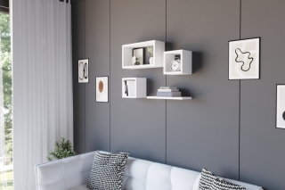 mania-asr-495sse1103_3