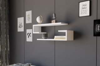 mania-asr-495sse1109_3