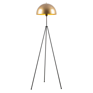 mania-asr-521shn1528_4