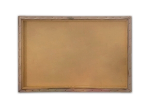 ASIR Obraz na plátne ŽENA V ZLATOM 70 cm plátno obr-4