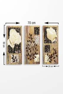 mania-asr-537mrv5147_2