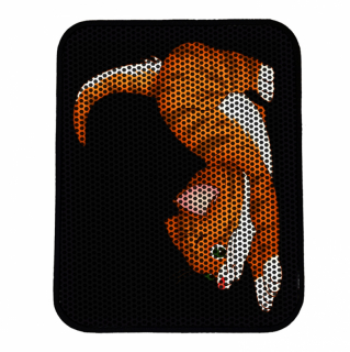 mania-asr-686grv1476_2