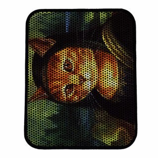 mania-asr-686grv1491_2