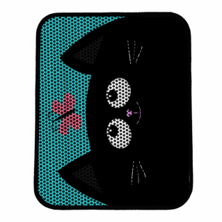 mania-asr-686grv1579_2