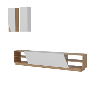 mania-asr-788dec3089_2