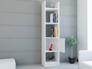 mania-asr-788dec3619_3