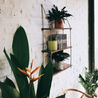 mania-asr-792evl1848_4