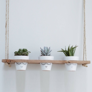 mania-asr-792evl2665_3