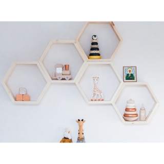 mania-asr-792evl2691_2