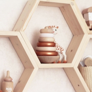 mania-asr-792evl2691_4