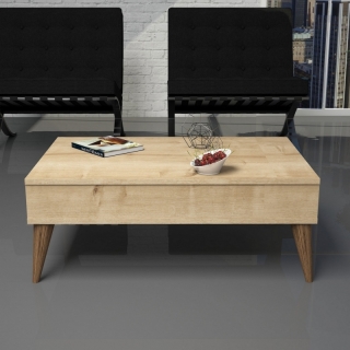 mania-asr-845hct2874_2