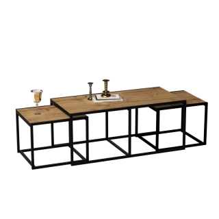 mania-asr-875zna2809_4