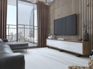 mania-asr-875zna3019_3