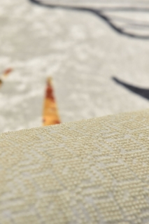 ASIR Koberec 80 x 200 KAPRADÍ viac farieb obr-2