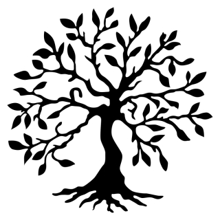 mania-asr-891tnl1761_2