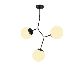 mania-asr-892opv1636_2