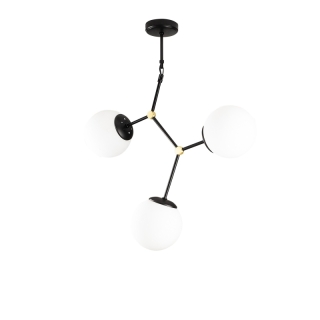 mania-asr-892opv1636_4