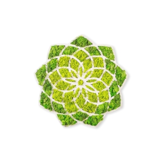 mania-asr-931ntr1105_2