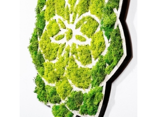 mania-asr-931ntr1105_4