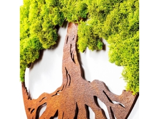 mania-asr-931ntr1109_4