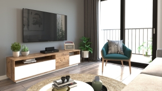 mania-asr-956lcs1606_4