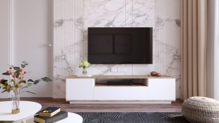 mania-asr-956lcs1610_5